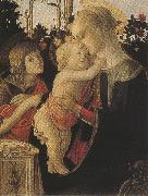 Sandro Botticelli Madonna of the Rose Garden or Madonna and Child with St john the Baptist (mk36) Spain oil painting artist